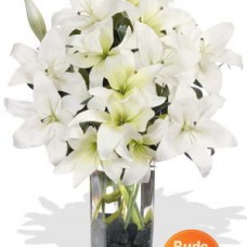 7 Oriental Lily Bouquet