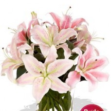 4 Oriental Lily Bouquet Vase Bouquet