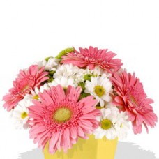 Mixed Chrysanthemum and Gerbera Bouquet
