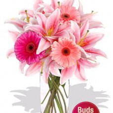 Gerberas and Oriental Lily Vase Bouquet